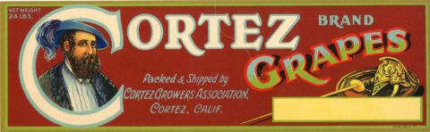 Cortez Grapes